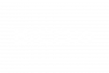 brand-Bico_Logo_RGB_Horizontal_Neg.png