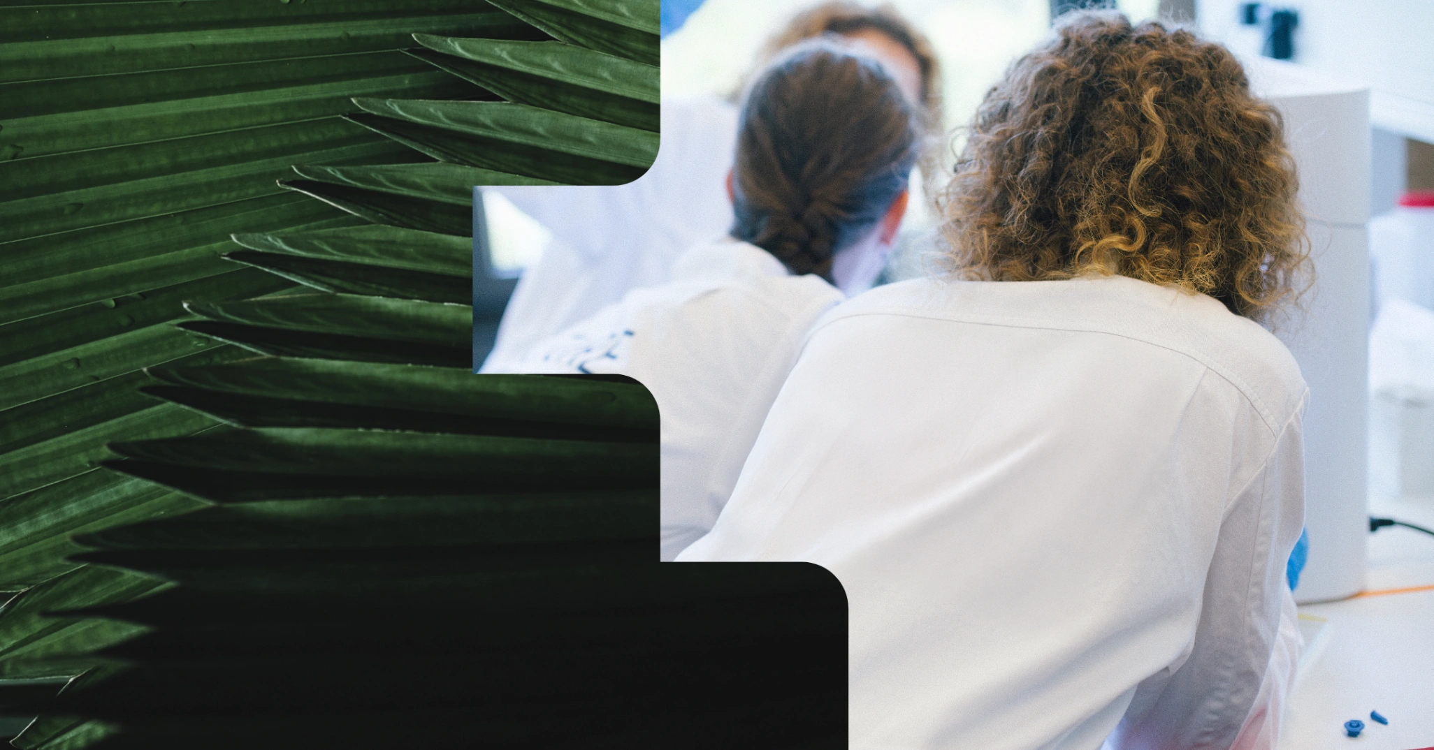About Us - BICO