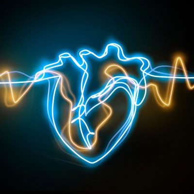 Hearts-scaled.jpg Hearts-scaled.jpg